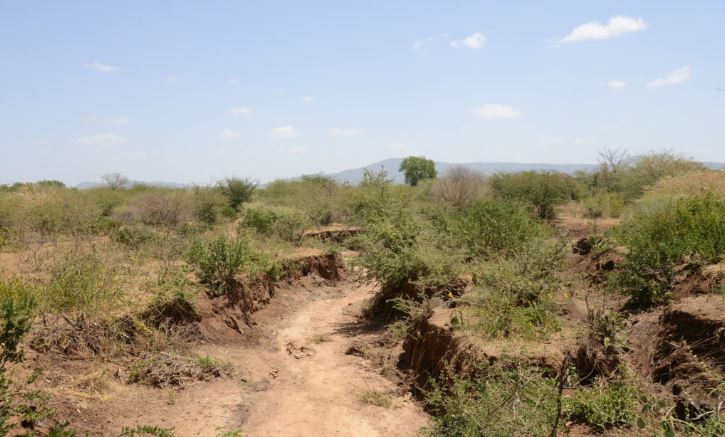 Climate-Smart Solutions